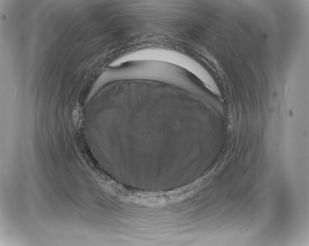 X0000085760029200704131749
