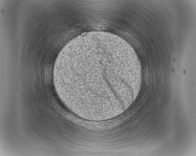 X0000085760030200704131749