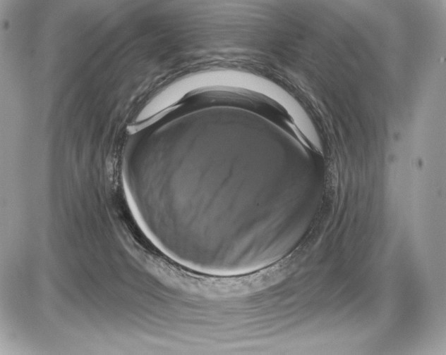 X0000085760031200704131749