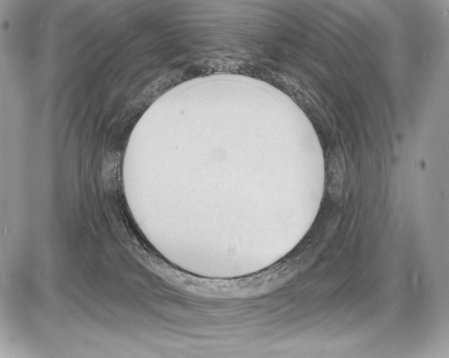 X0000085760034200704131749
