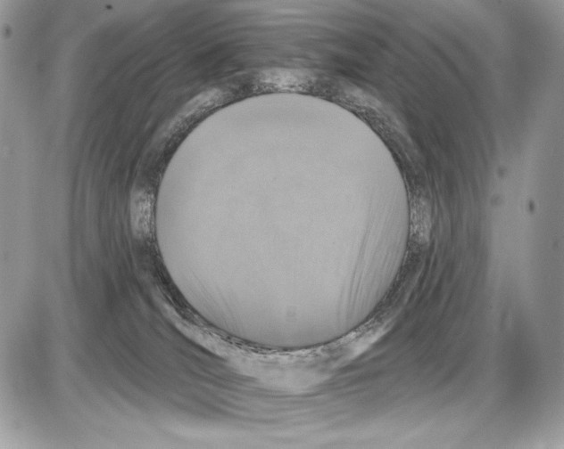 X0000085760036200704131749