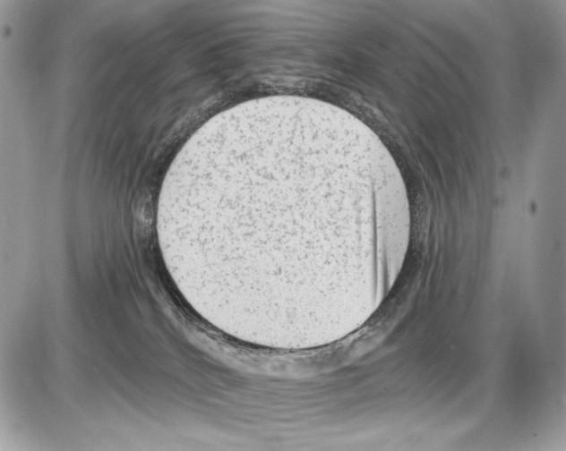 X0000085760040200704131749