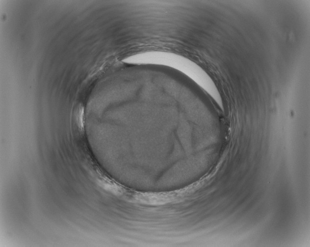 X0000085760041200704131749