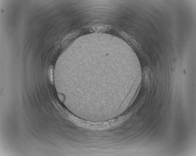 X0000085760042200704131749