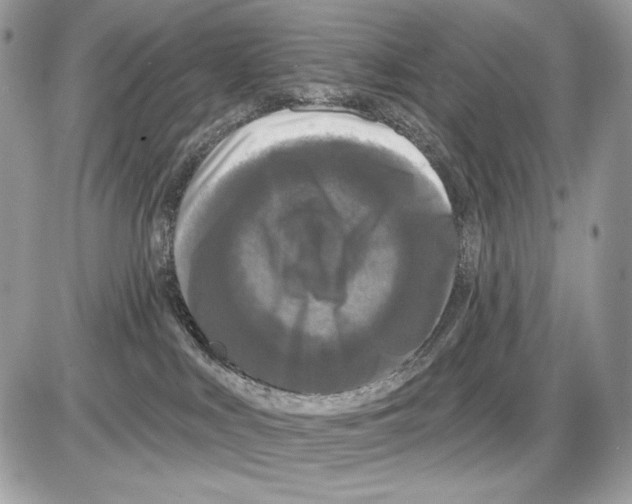 X0000085760043200704131749