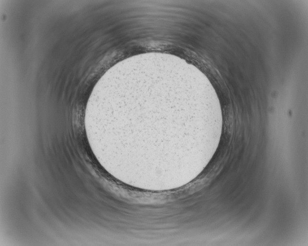 X0000085760044200704131749