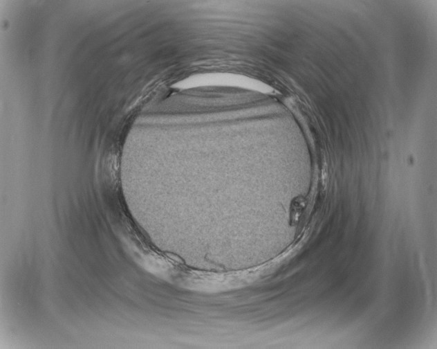 X0000085760045200704131749