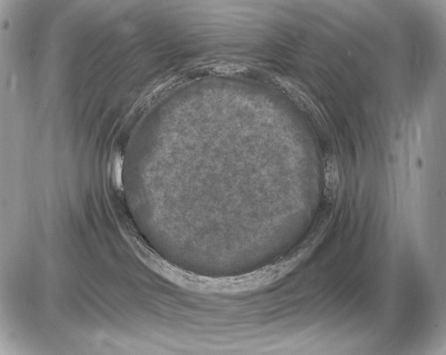 X0000085760046200704131749