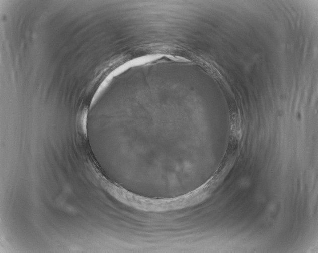 X0000085760047200704131749