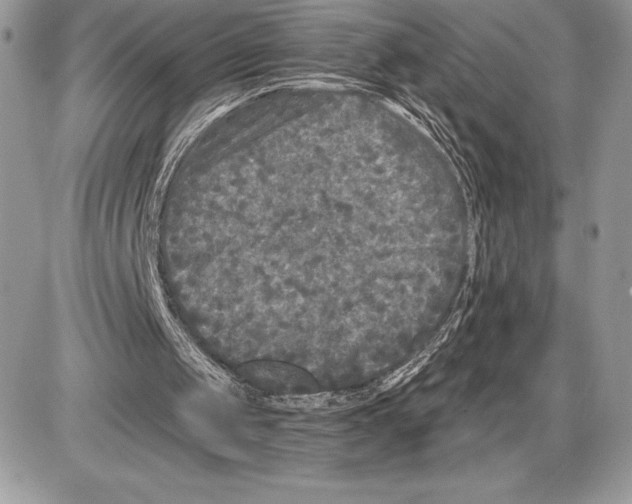 X0000085760049200704131748