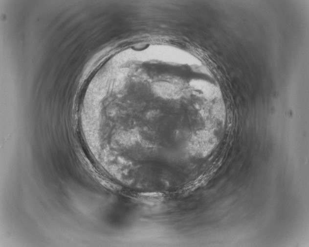 X0000085760053200704131748