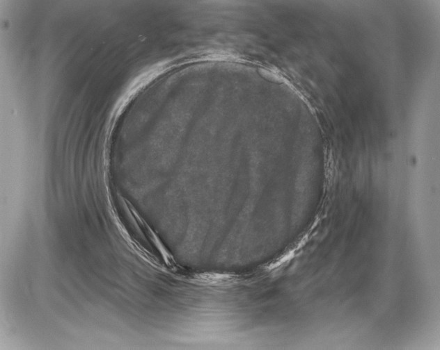 X0000085760055200704131748
