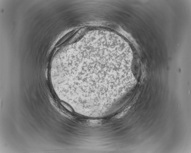X0000085760060200704131748