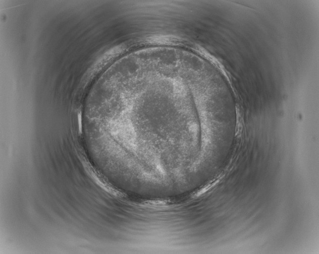 X0000085760061200704131748