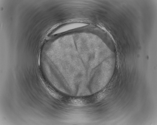 X0000085760062200704131748