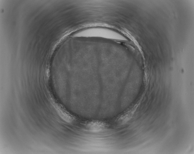 X0000085760063200704131748