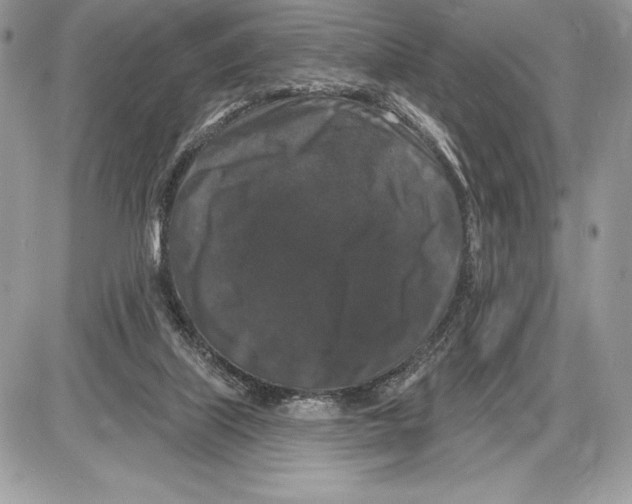 X0000085760067200704131748