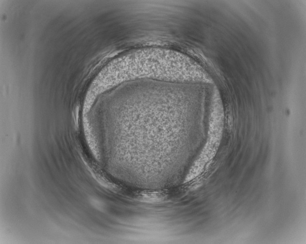 X0000085760070200704131748