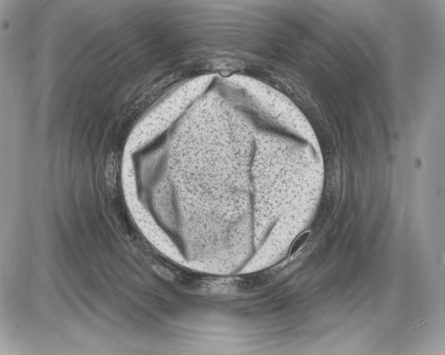 X0000085760078200704131749