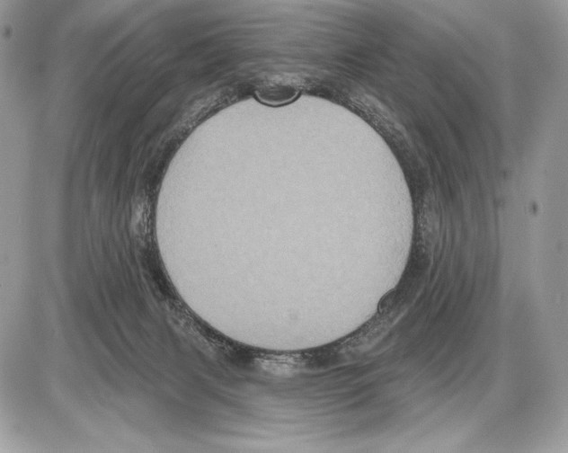 X0000085760079200704131749