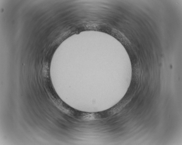 X0000085760083200704131749