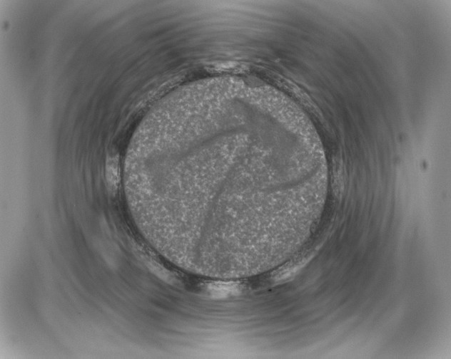 X0000085760085200704131749