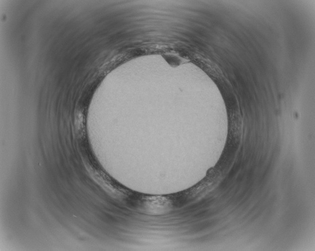 X0000085760087200704131749