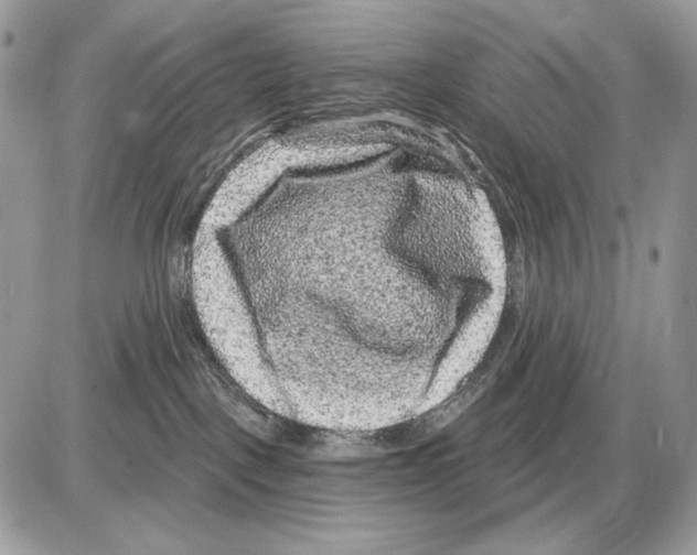 X0000085760093200704131749