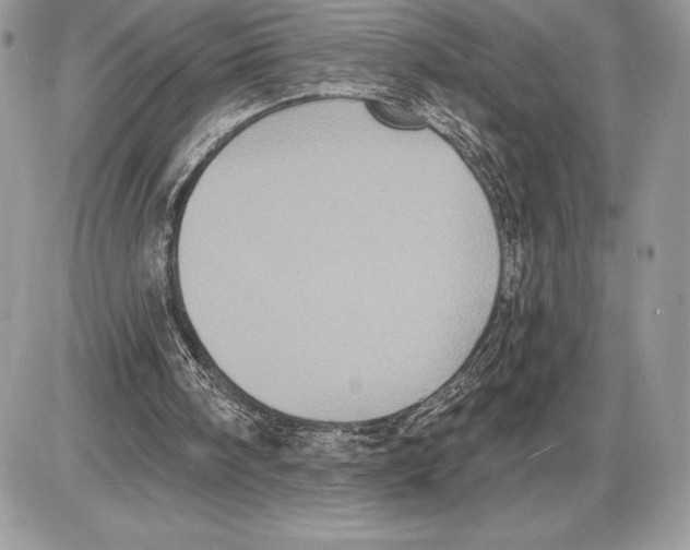 X0000085760098200704131748