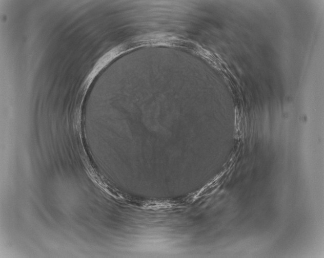 X0000085760099200704131748