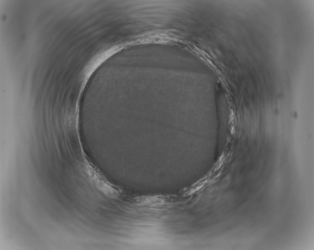 X0000085760100200704131748