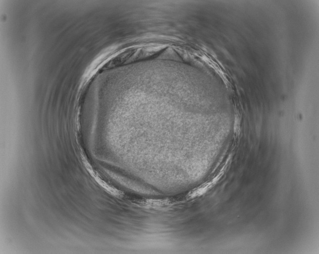 X0000085760101200704131748