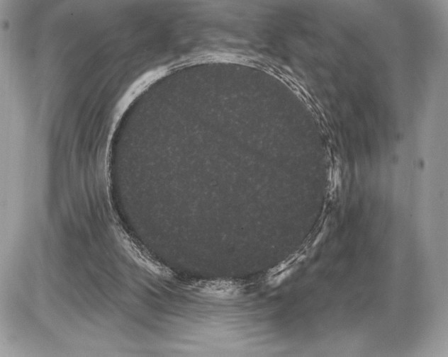 X0000085760104200704131748