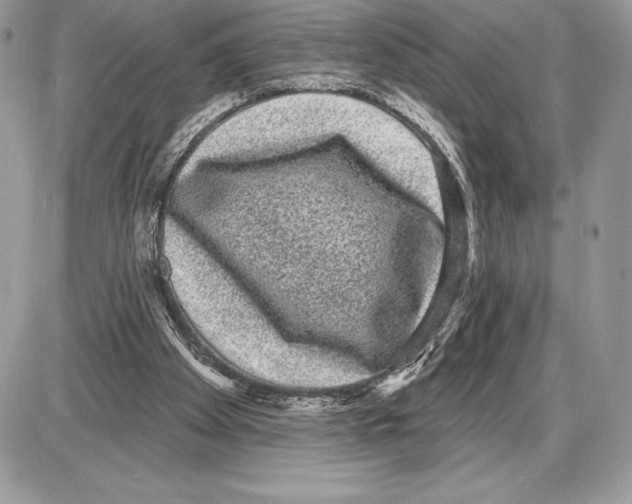 X0000085760105200704131748
