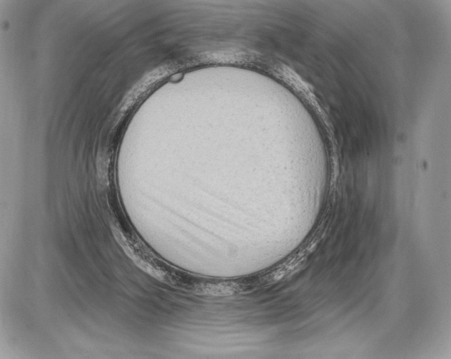 X0000085760106200704131748