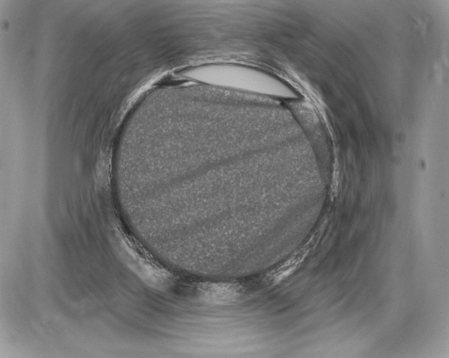 X0000085760107200704131748