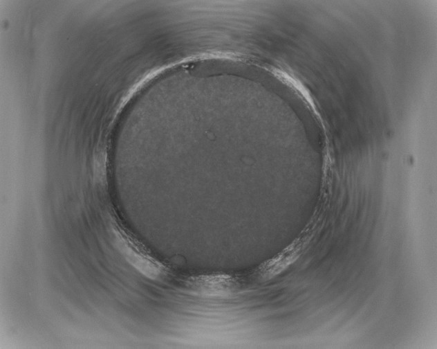 X0000085760108200704131748