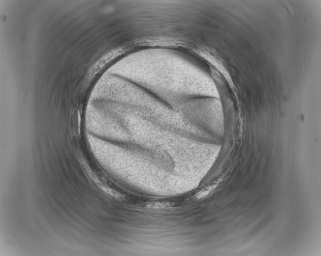 X0000085760109200704131748