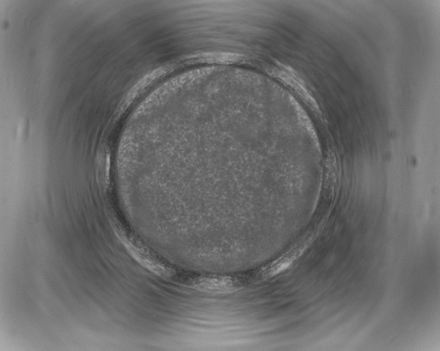 X0000085760110200704131748