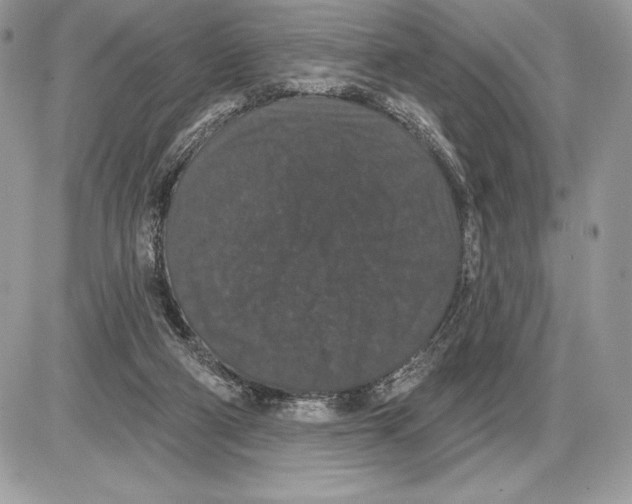 X0000085760114200704131748