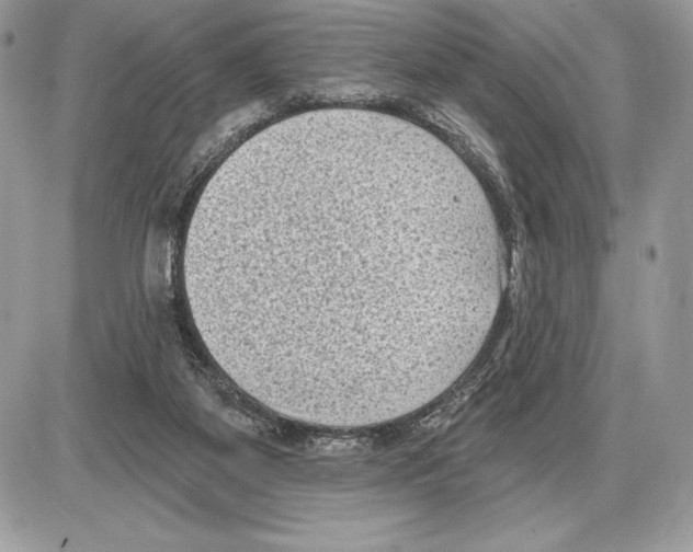 X0000085760115200704131748