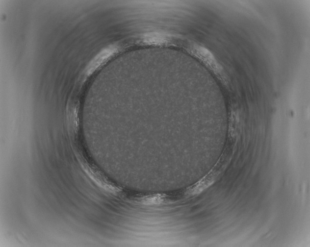 X0000085760116200704131748