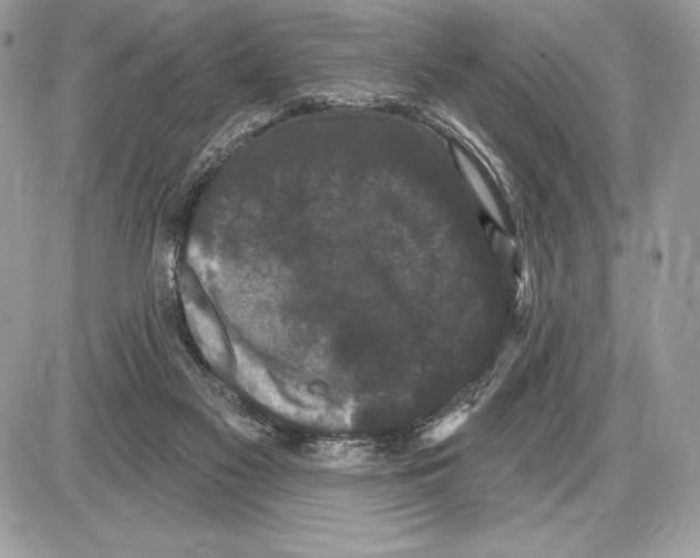 X0000085760117200704131748