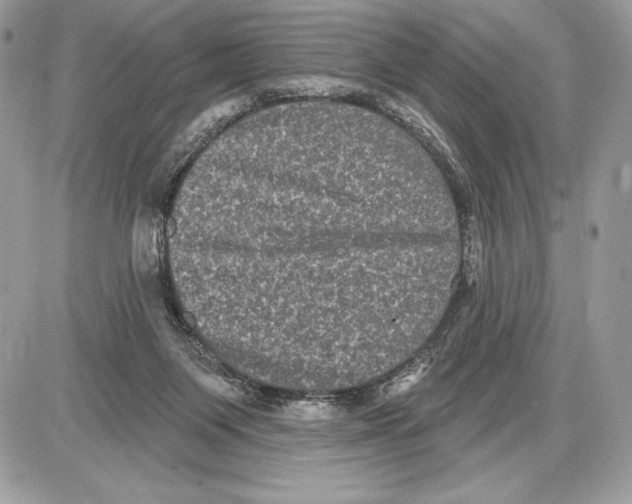 X0000085760119200704131748