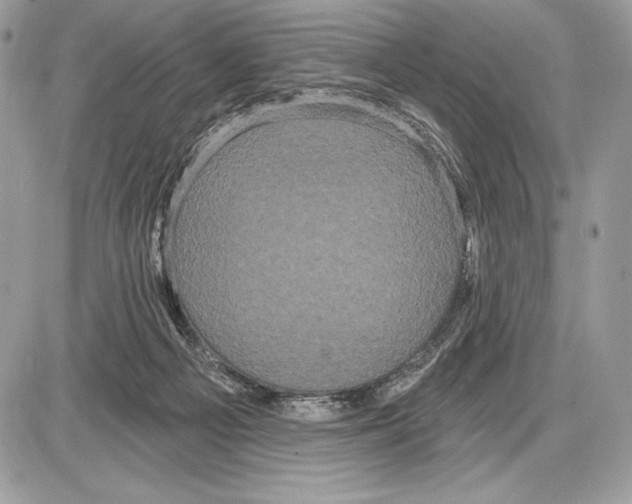 X0000085760121200704131748