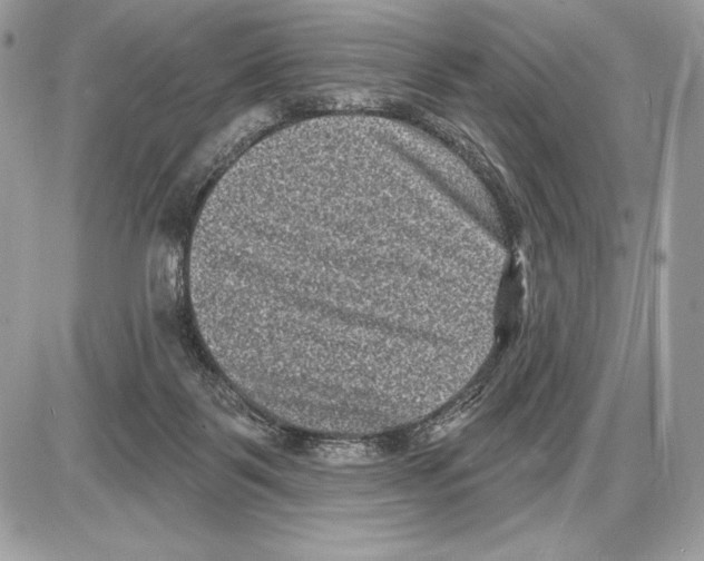 X0000085760123200704131748