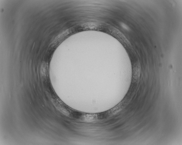 X0000085760126200704131748