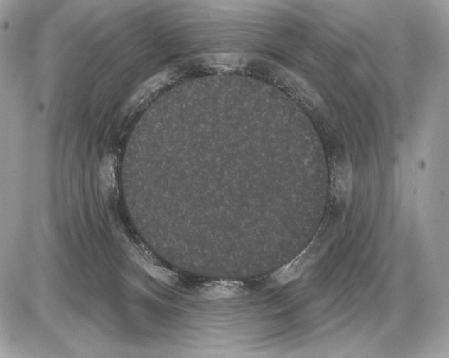 X0000085760128200704131748
