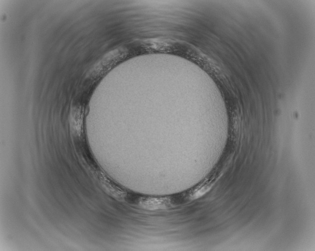 X0000085760129200704131748