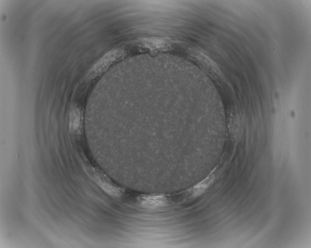 X0000085760132200704131747